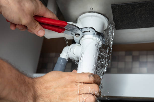Best Flooded house restoration  in Henning, TN