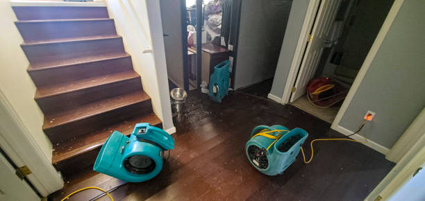 Best Water damage restoration insurance claims  in Henning, TN