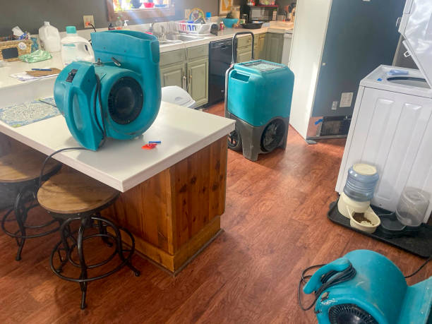 Best Professional water damage repair  in Henning, TN