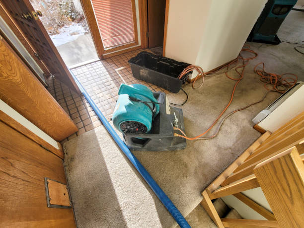Best Water damage restoration near me  in Henning, TN