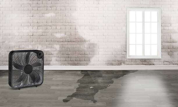 Best Commercial water damage restoration  in Henning, TN