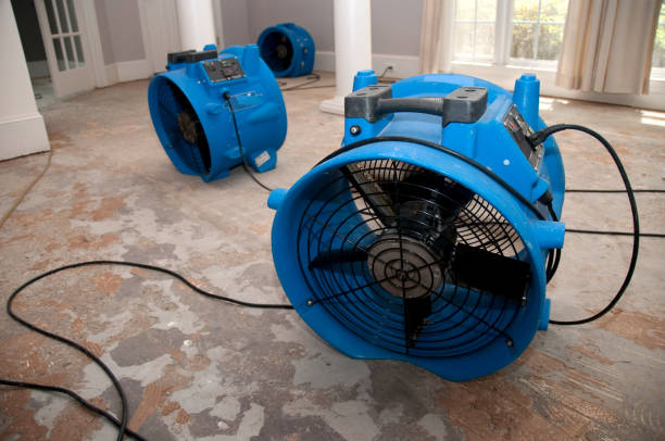 Best Water damage contractors near me  in Henning, TN