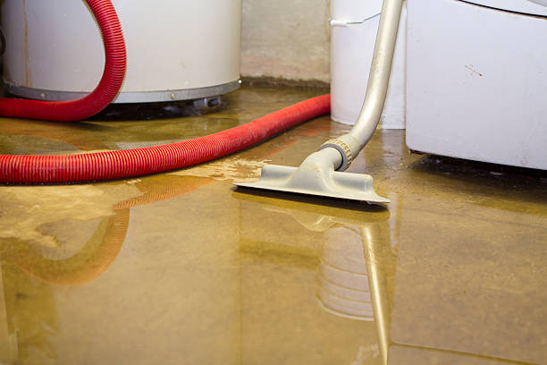 Best Local water damage restoration  in Henning, TN