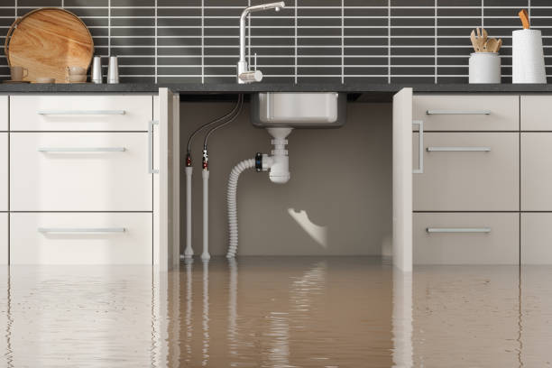 Best Flood damage cleanup  in Henning, TN