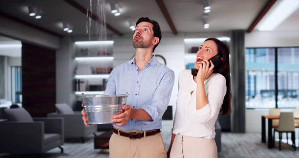Best Professional water damage repair  in Henning, TN